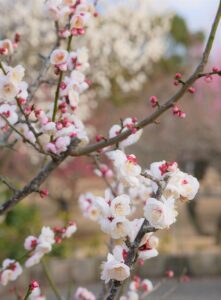 看護師が探すべきICU求人サイトはどこ？