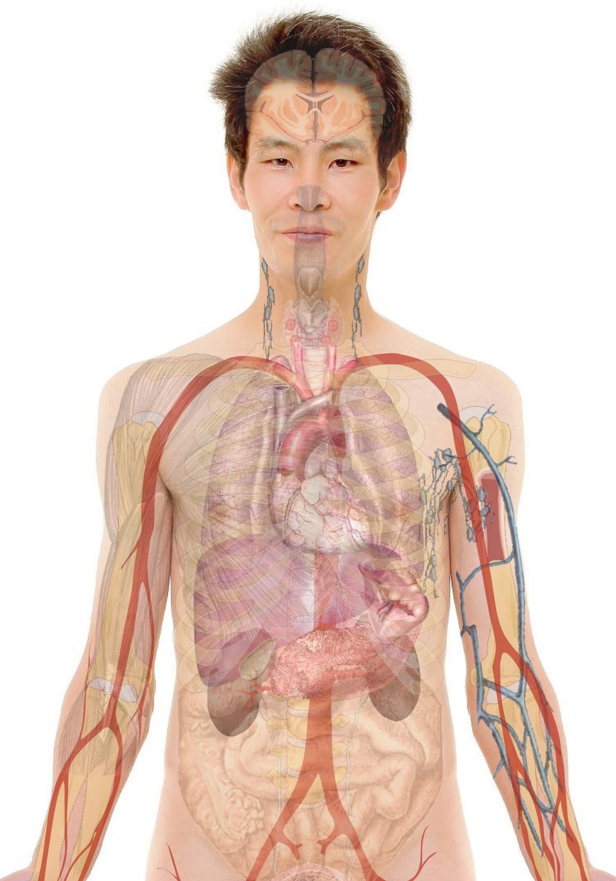 看護師教育担当の求人サイトで見つける理想の職場とは？