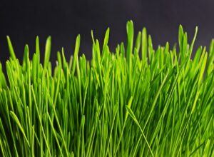 クリニックへの転職で給料が下がった場合の対処法は？