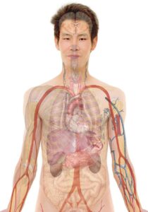 看護職の転職相談はどこにすればいい？