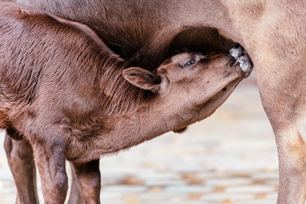 看護師求人2023年の最新情報はここでチェックすべき？